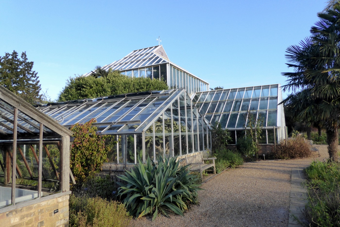 The glasshouse range at the Cambridge University Botanic Garden